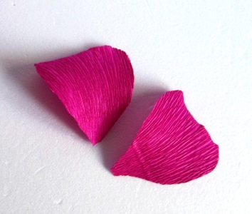 ����������� ������� �� ��������� ������� ������� 8 ��, ������� 4 ��. ������ ������� ������� � ������� ��������. � ����� ������ ���������� ��� ��������.